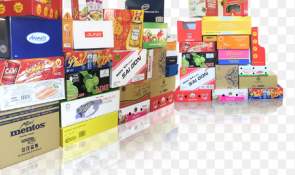 Bao Bì Giấy Và Ngành Xuất Khẩu
