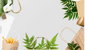 Các giải pháp in bao bì giấy chất lượng cao