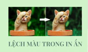 Các Lỗi Thường Gặp Trong In Ấn Và Cách Khắc Phục