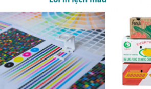 Các vấn đề liên quan đến lỗi trong in offset