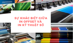  So Sánh In Offset Và In Kỹ Thuật Số