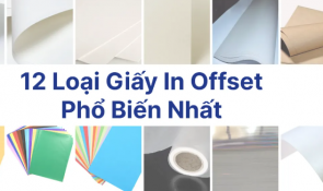 Tìm hiểu về các loại giấy đặc biệt cho in offset