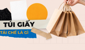Tìm hiểu về cách tái chế bao bì giấy