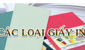 Về Cách Chọn Giấy Cho In Offset: Đảm Bảo Chất Lượng In Ấn Tốt Nhất