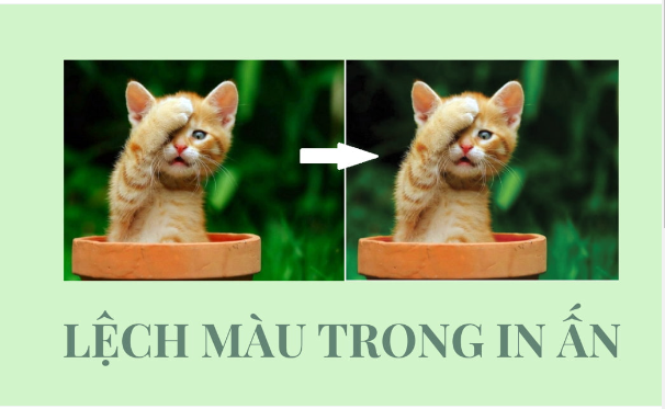 Các Lỗi Thường Gặp Trong In Ấn Và Cách Khắc Phục