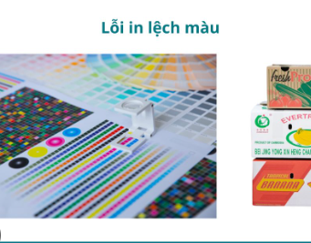 Các vấn đề liên quan đến lỗi trong in offset
