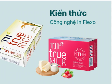 In Flexo Cho Bao Bì Carton: Công Nghệ Hiện Đại Và Ứng Dụng