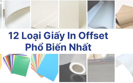 Tìm hiểu về các loại giấy đặc biệt cho in offset